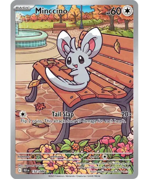 Scarlet & Violet - Black Bolt 152/086 - Minccino [Illustration Rare]